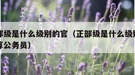 正部级是什么级别的官（正部级是什么级别的官算公务员）