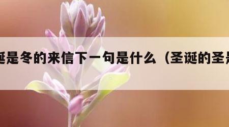 圣诞是冬的来信下一句是什么（圣诞的圣是谁）