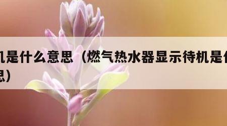 待机是什么意思（燃气热水器显示待机是什么意思）