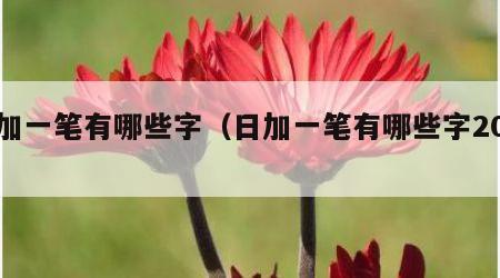 日加一笔有哪些字（日加一笔有哪些字20个）