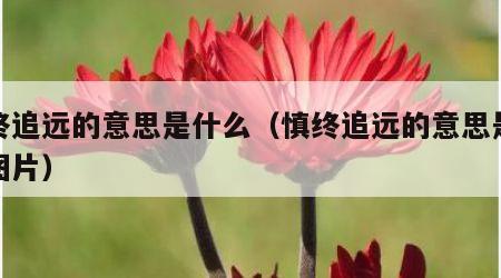 慎终追远的意思是什么（慎终追远的意思是什么图片）