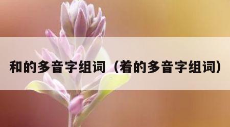 和的多音字组词（着的多音字组词）