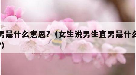 直男是什么意思?（女生说男生直男是什么意思?）