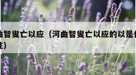 河曲智叟亡以应（河曲智叟亡以应的以是什么词性）