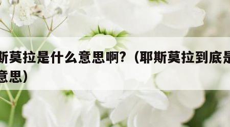 耶斯莫拉是什么意思啊?（耶斯莫拉到底是什么意思）