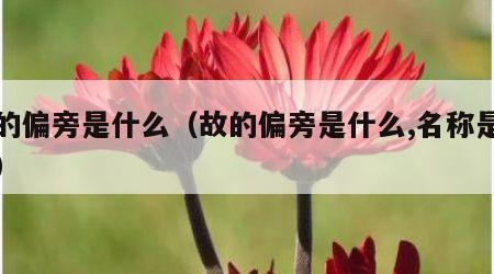 故的偏旁是什么（故的偏旁是什么,名称是什么）