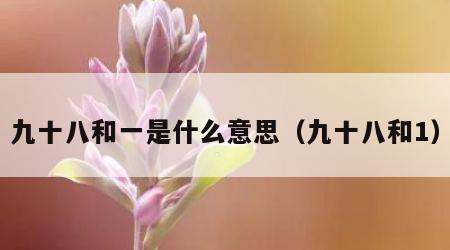 九十八和一是什么意思（九十八和1）