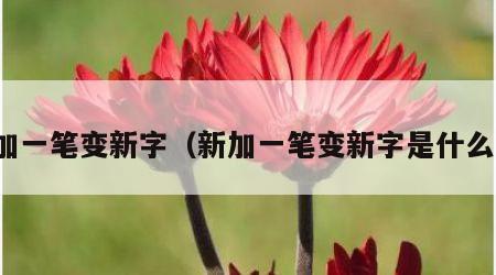 新加一笔变新字（新加一笔变新字是什么字）