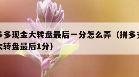 拼多多现金大转盘最后一分怎么弄（拼多多现金大转盘最后1分）