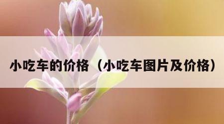 小吃车的价格（小吃车图片及价格）