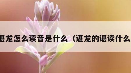 谌龙怎么读音是什么（谌龙的谌读什么）