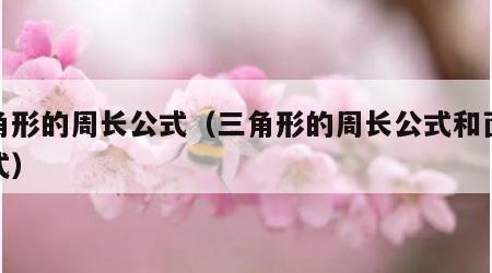 三角形的周长公式（三角形的周长公式和面积公式）