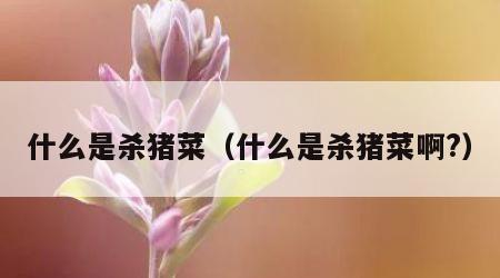 什么是杀猪菜（什么是杀猪菜啊?）