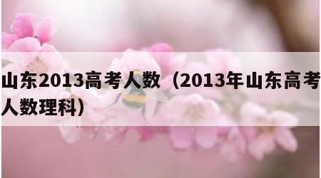 山东2013高考人数（2013年山东高考人数理科）