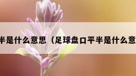 平半是什么意思（足球盘口平半是什么意思）