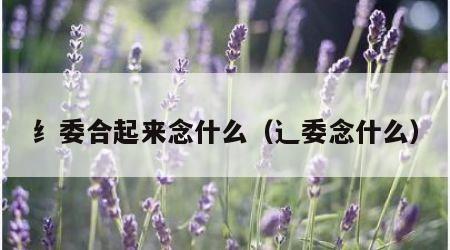 纟委合起来念什么（辶委念什么）