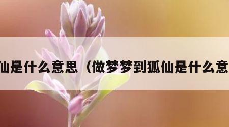 狐仙是什么意思（做梦梦到狐仙是什么意思）