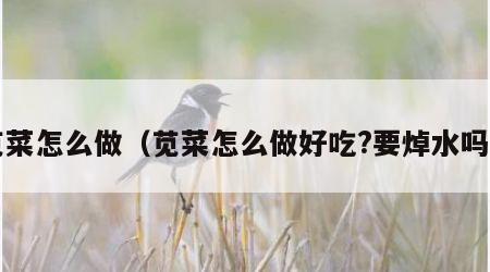 苋菜怎么做（苋菜怎么做好吃?要焯水吗?）