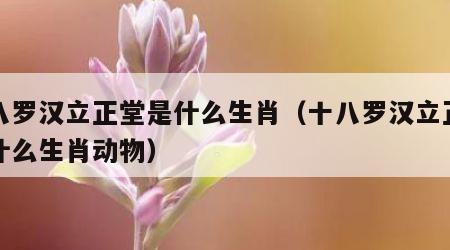 十八罗汉立正堂是什么生肖（十八罗汉立正堂是什么生肖动物）