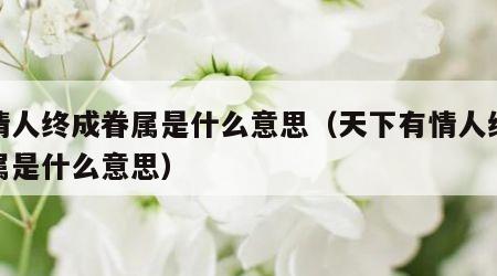 有情人终成眷属是什么意思（天下有情人终成眷属是什么意思）