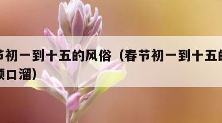 春节初一到十五的风俗（春节初一到十五的风俗顺口溜）