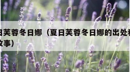 夏日芙蓉冬日娜（夏日芙蓉冬日娜的出处和背景故事）