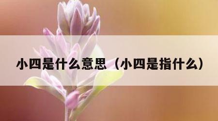 小四是什么意思（小四是指什么）