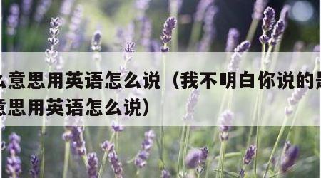 什么意思用英语怎么说（我不明白你说的是什么意思用英语怎么说）