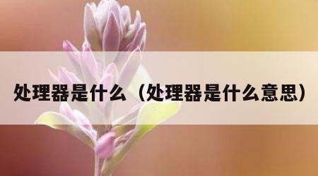 处理器是什么（处理器是什么意思）