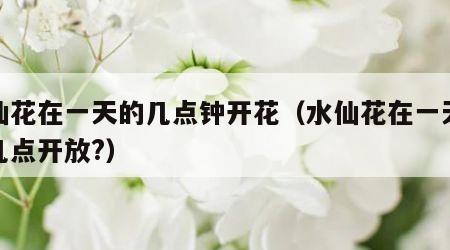 水仙花在一天的几点钟开花（水仙花在一天之内几点开放?）