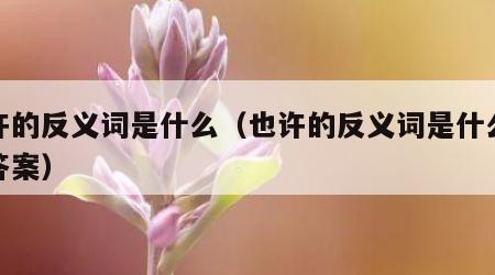 也许的反义词是什么（也许的反义词是什么最佳答案）