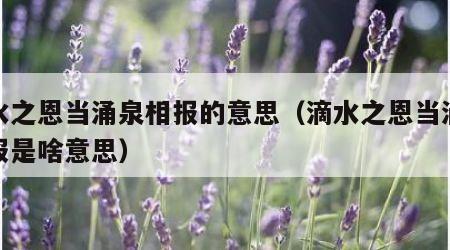 滴水之恩当涌泉相报的意思（滴水之恩当涌泉相报是啥意思）