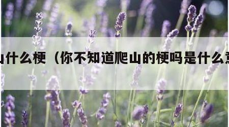 爬山什么梗（你不知道爬山的梗吗是什么意思）