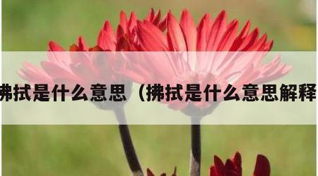 拂拭是什么意思（拂拭是什么意思解释）