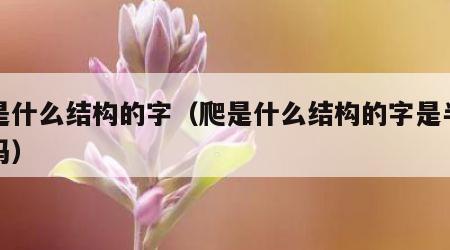 爬是什么结构的字（爬是什么结构的字是半包围吗）