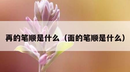 再的笔顺是什么（面的笔顺是什么）