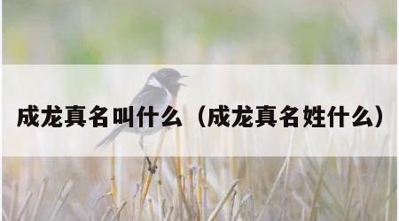 成龙真名叫什么（成龙真名姓什么）