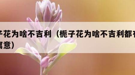 栀子花为啥不吉利（栀子花为啥不吉利都有哪些寓意）