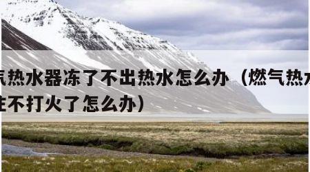 燃气热水器冻了不出热水怎么办（燃气热水器冻住不打火了怎么办）