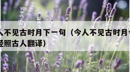 今人不见古时月下一句（今人不见古时月今月曾经照古人翻译）