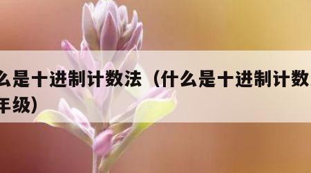 什么是十进制计数法（什么是十进制计数法?四年级）