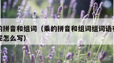 乘的拼音和组词（乘的拼音和组词组词语有哪些呢怎么写）