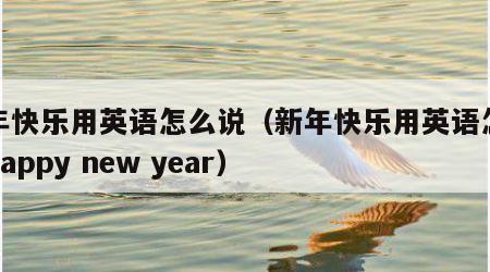 新年快乐用英语怎么说（新年快乐用英语怎么说happy new year）