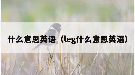 什么意思英语（leg什么意思英语）