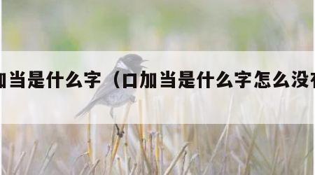 口加当是什么字（口加当是什么字怎么没有了）