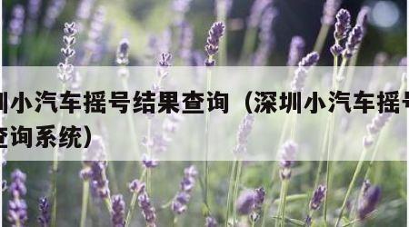 深圳小汽车摇号结果查询（深圳小汽车摇号结果查询系统）