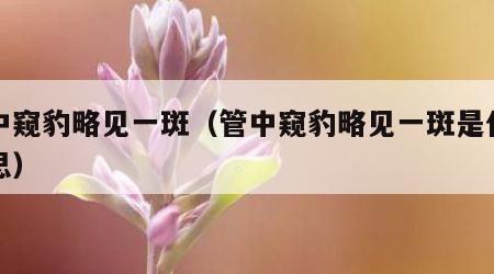 管中窥豹略见一斑（管中窥豹略见一斑是什么意思）