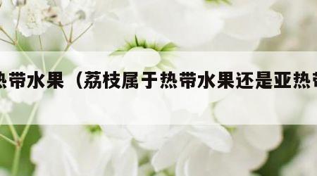 亚热带水果（荔枝属于热带水果还是亚热带水果）