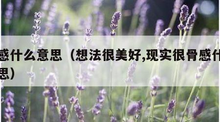 骨感什么意思（想法很美好,现实很骨感什么意思）