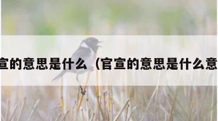 官宣的意思是什么（官宣的意思是什么意思）